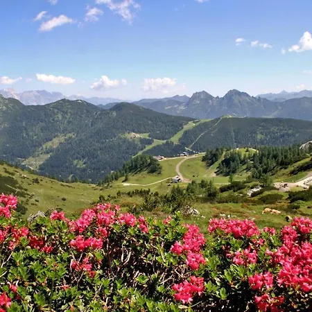 Vorderwiesgut Bed & Breakfast