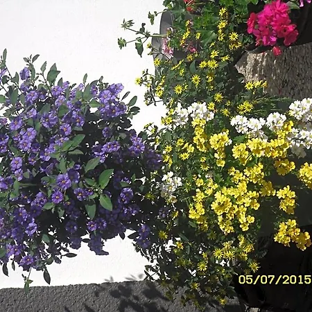 فندق مبيت وإفطار Vorderwiesgut 3*
