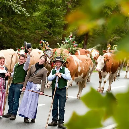 Vorderwiesgut Frühstückspension Altenmarkt im Pongau