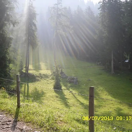 Vorderwiesgut Bed and breakfast 3*