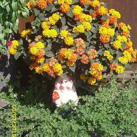 Bed & Breakfast Vorderwiesgut Altenmarkt im Pongau