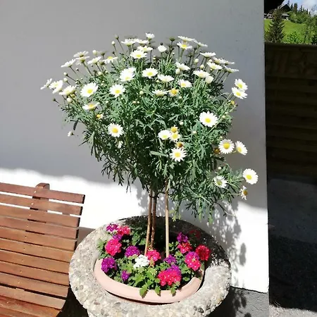 Vorderwiesgut Frühstückspension Altenmarkt im Pongau