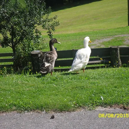 Vorderwiesgut ベッド・アンド・ブレックファスト アルテンマルクト・イム・ポンガウ