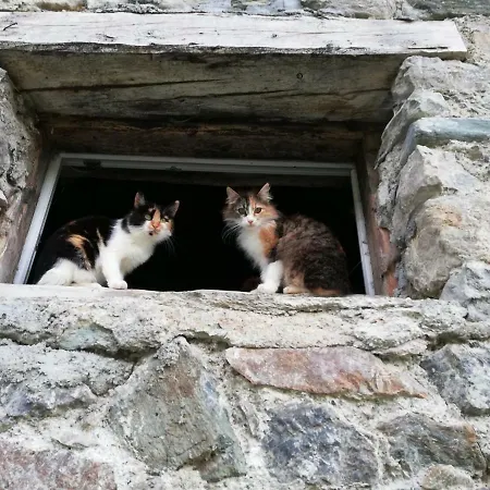 Vorderwiesgut Bed & Breakfast 3*