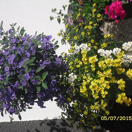 ベッド・アンド・ブレックファスト Vorderwiesgut 3*