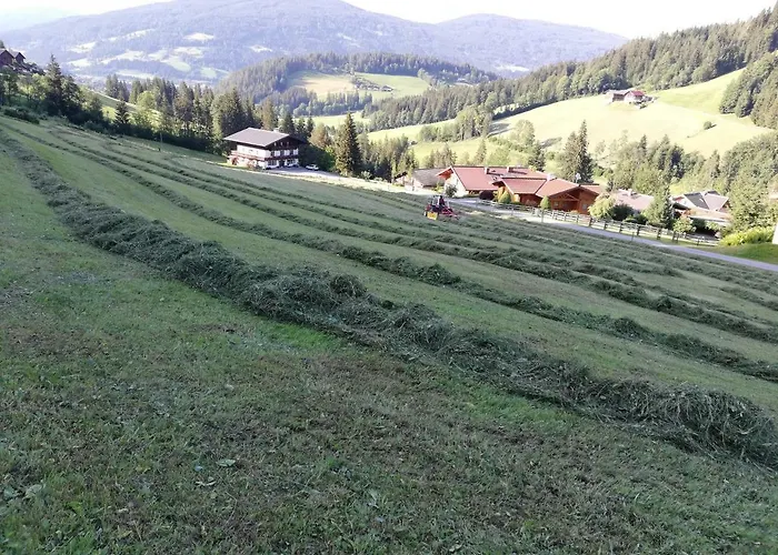 Vorderwiesgut Отель типа 